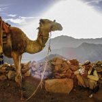 Egypt